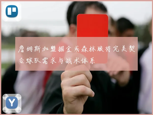 詹姆斯加盟掘金或森林狼将完美契合球队需求与战术体系