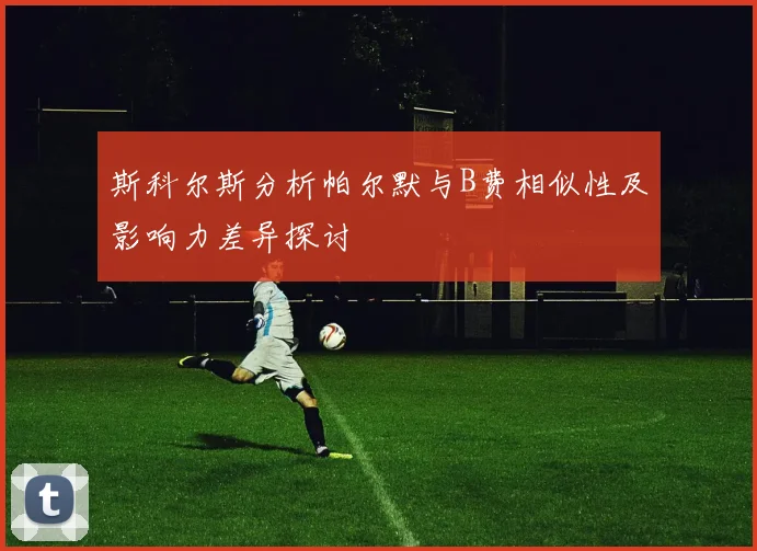 斯科尔斯分析帕尔默与B费相似性及影响力差异探讨