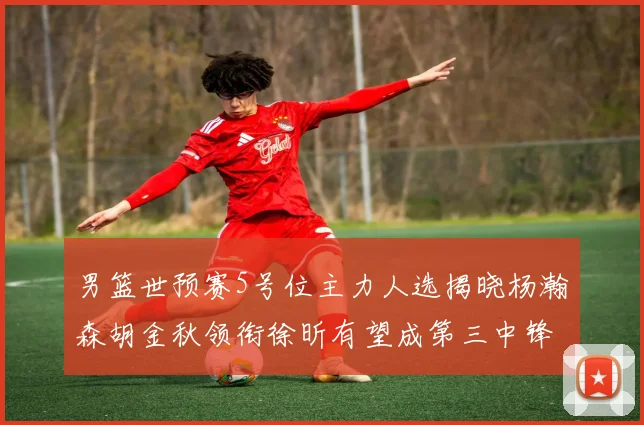 男篮世预赛5号位主力人选揭晓杨瀚森胡金秋领衔徐昕有望成第三中锋